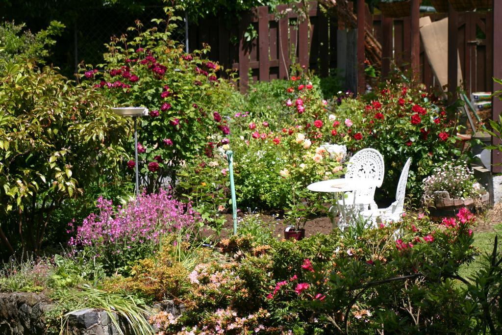Castlewood Cottage Company Bay 외부 사진
